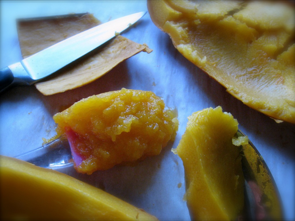 how to puree pumpkin